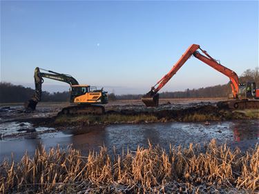 Werken in de vallei van de Zwarte Beek - Beringen