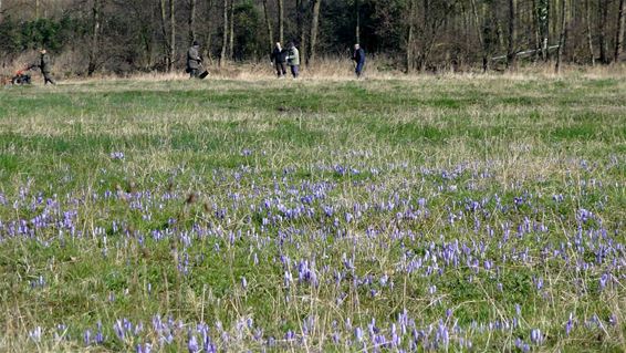 Werken in de Watering - Lommel