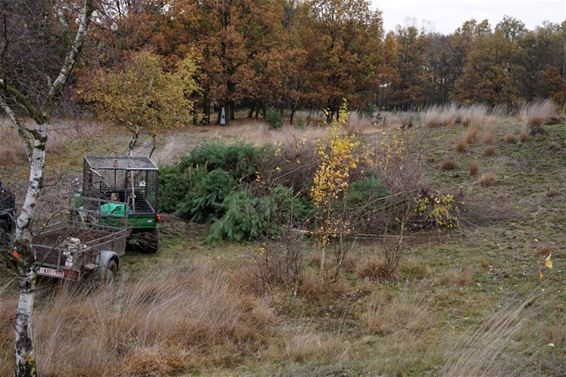 Werken in het Hageven - Neerpelt