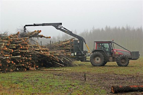 Werken in het Leenderbos - Hamont-Achel