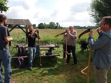 Werken met de zeis - Beringen