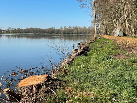 Werken oevers Paalse Plas vertraagd - Beringen