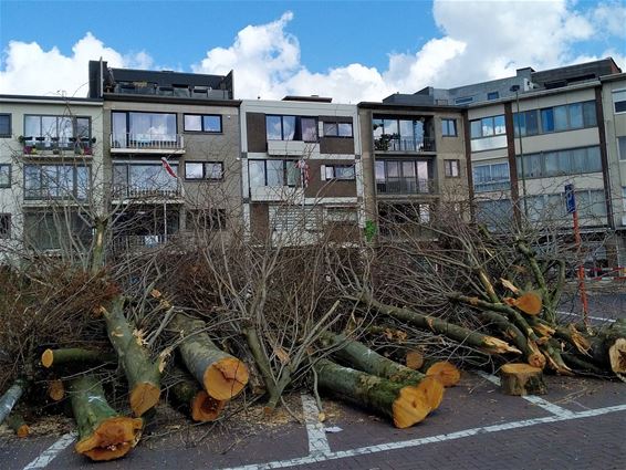 Werken op het Marktplein begonnen - Pelt