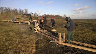 Werken op terril Beringen - Beringen