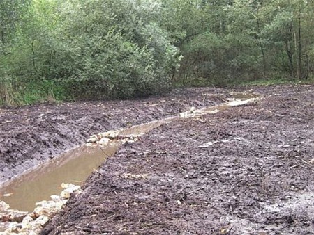 Werken vernatting natuurgebied  ’t Plat gestart - Overpelt