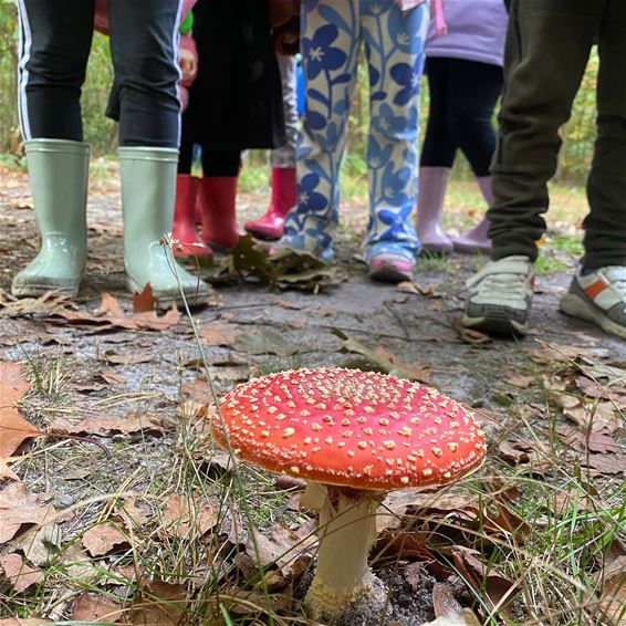 Bree - Werkgroep Isis vzw zoekt vrijwilligers