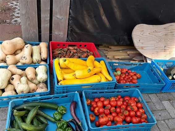 Werknemers Biehal kiezen voor gezonde voeding - Lommel