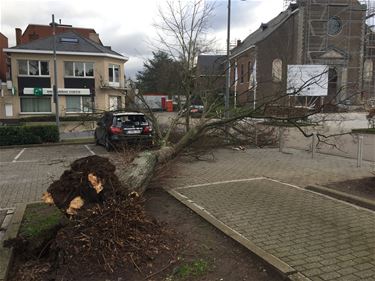 Werkplaatsen overstelpt met oproepen - Beringen