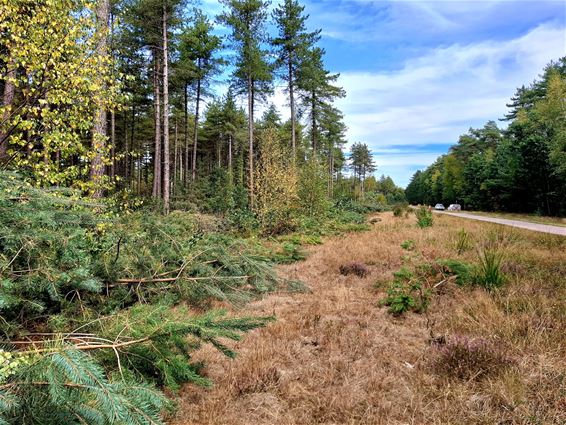 Werkzaamheden langs fietspad Fietsen door de Bomen - Hechtel-Eksel