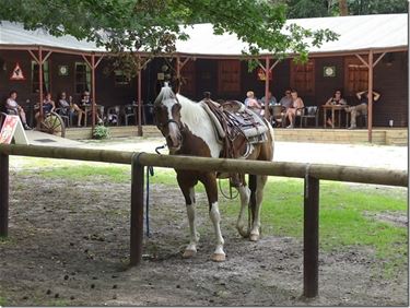 Western saloon geopend in Grote Brogel - Peer