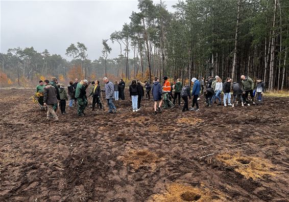 WICO-leerlingen plantten een bos - Pelt