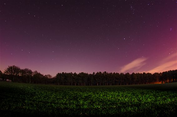 Wie kent dit 'paadje'? - Lommel