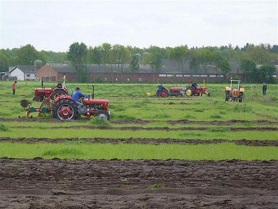 Wie trekt de mooiste voor? - Hamont-Achel