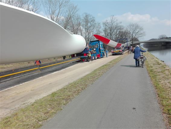 Wieken voor windturbines gearriveerd - Pelt