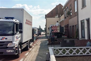 Wietplantage ontdekt op Lommelsesteenweg - Leopoldsburg