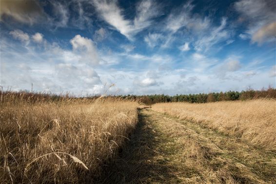 Weidse zichten op Werkplaatsen - Lommel