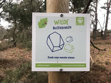 Wilde buitendingen - Beringen