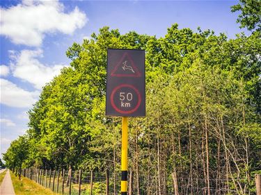 Wildoversteekplaats actief in zomer