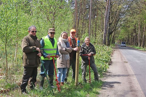 Wildspiegels aan het Kolisbos - Pelt