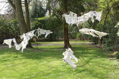 Wind en tegenwind... - Pelt