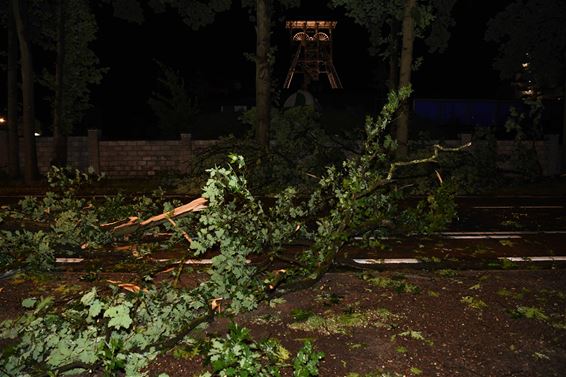 Windhoos boven Beringen-Mijn - Beringen