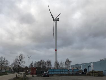 Windturbines draaien op volle toeren - Beringen