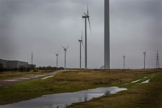 Windmolens draaien op volle toeren - Lommel