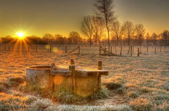 Winnende landschapsfoto - Neerpelt