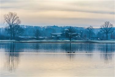 Winter aan de Plas - Beringen