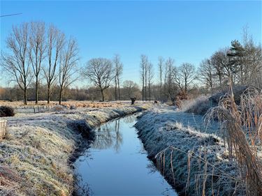 Winter begint vandaag - Beringen