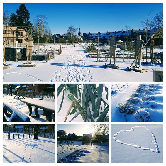 Winter in De Hofkens - Hamont-Achel