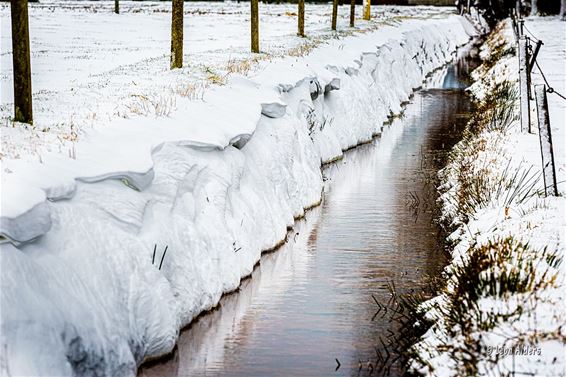 Winter in De Holen - Pelt