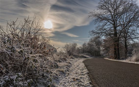 Winter in de Winnerstraat - Pelt