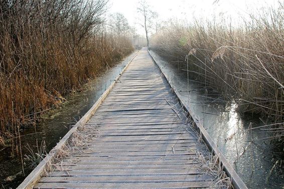 Winter in het Hageven - Neerpelt