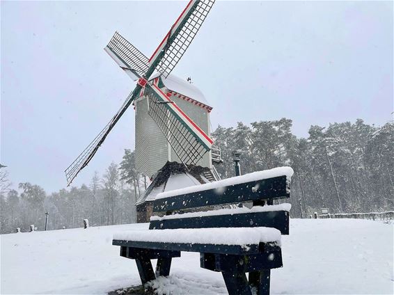 Winter in het Heesakkerpark - Pelt