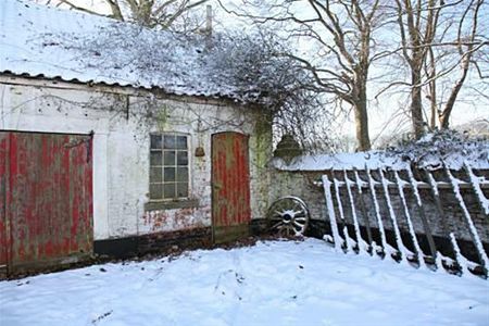 Winter in Overpelt - Overpelt