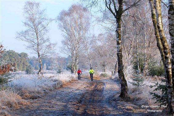 Winter op de Leenderheide - Hamont-Achel