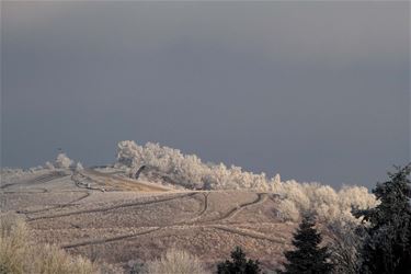 Winter op terril - Beringen