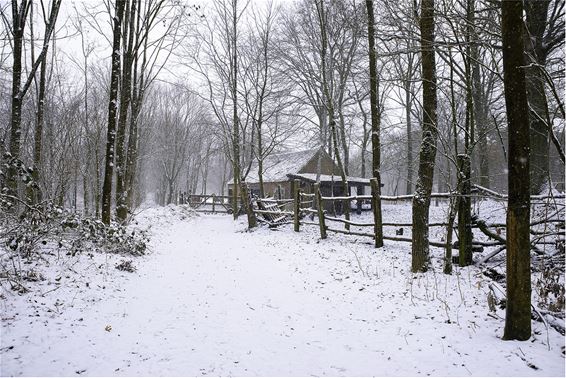 Wintersymphonie - Lommel