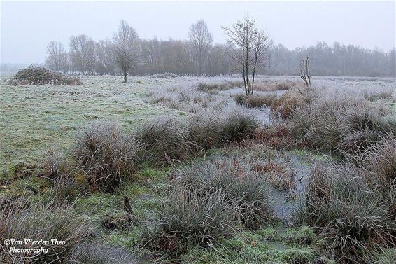 Winterlandschap aan Achelse Kluis - Hamont-Achel