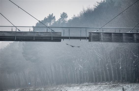 Winterlandschappen - Lommel