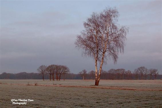 Winterplaatje aan de Kluis - Hamont-Achel