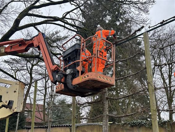 Winterprik, maar geen winterrust voor groendienst - Oudsbergen