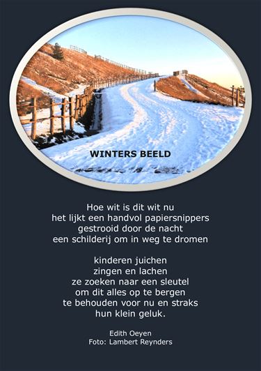 Winters beeld - Beringen