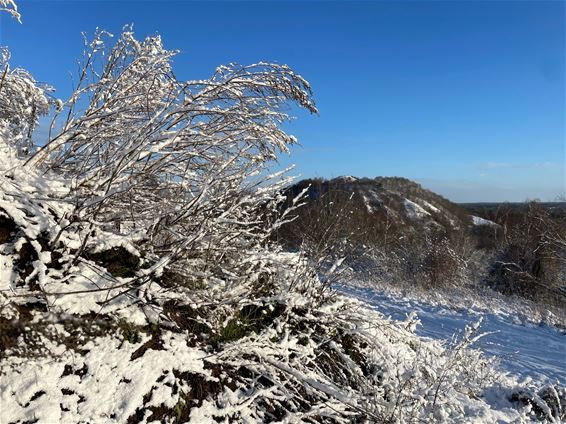 Winters Beringen - Beringen