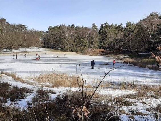 Winterse gezelligheid - Beringen