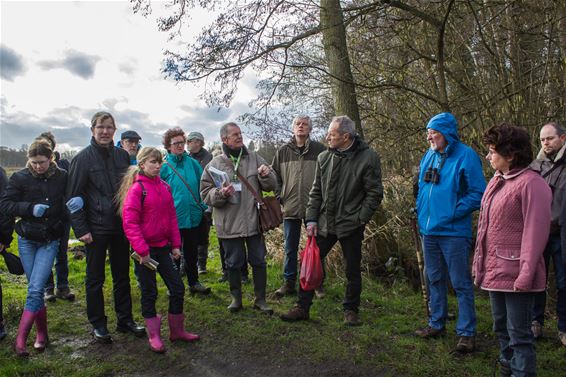 Winterse vogelwandeling in de Koerselse natuur - Beringen