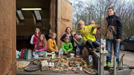 Wintervoer voor de vogels - Neerpelt