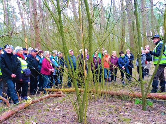 Winterwandeling van Okra - Hamont-Achel