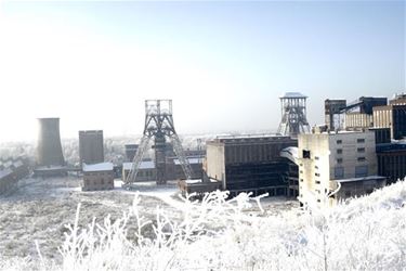 Winterwandelingen op terril - Beringen